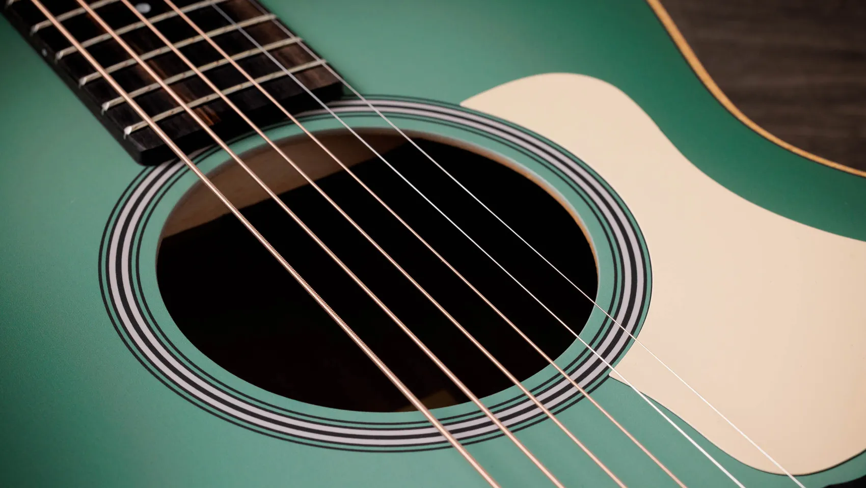 Taylor-GS-Mini-e-Special-